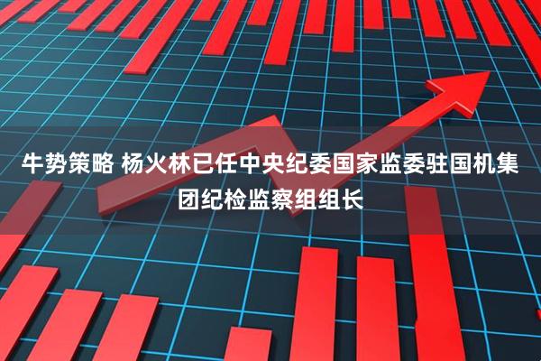 牛势策略 杨火林已任中央纪委国家监委驻国机集团纪检监察组组长