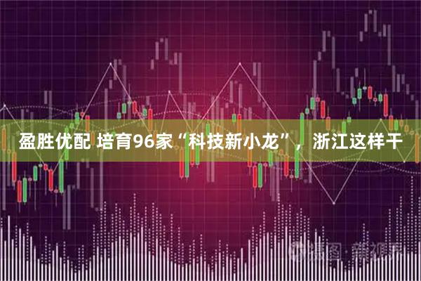 盈胜优配 培育96家“科技新小龙”，浙江这样干